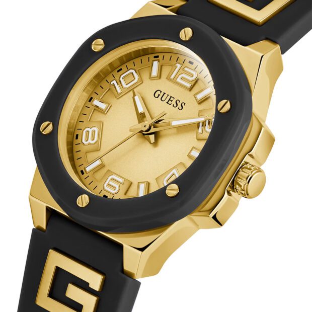 GW0555L2_guess